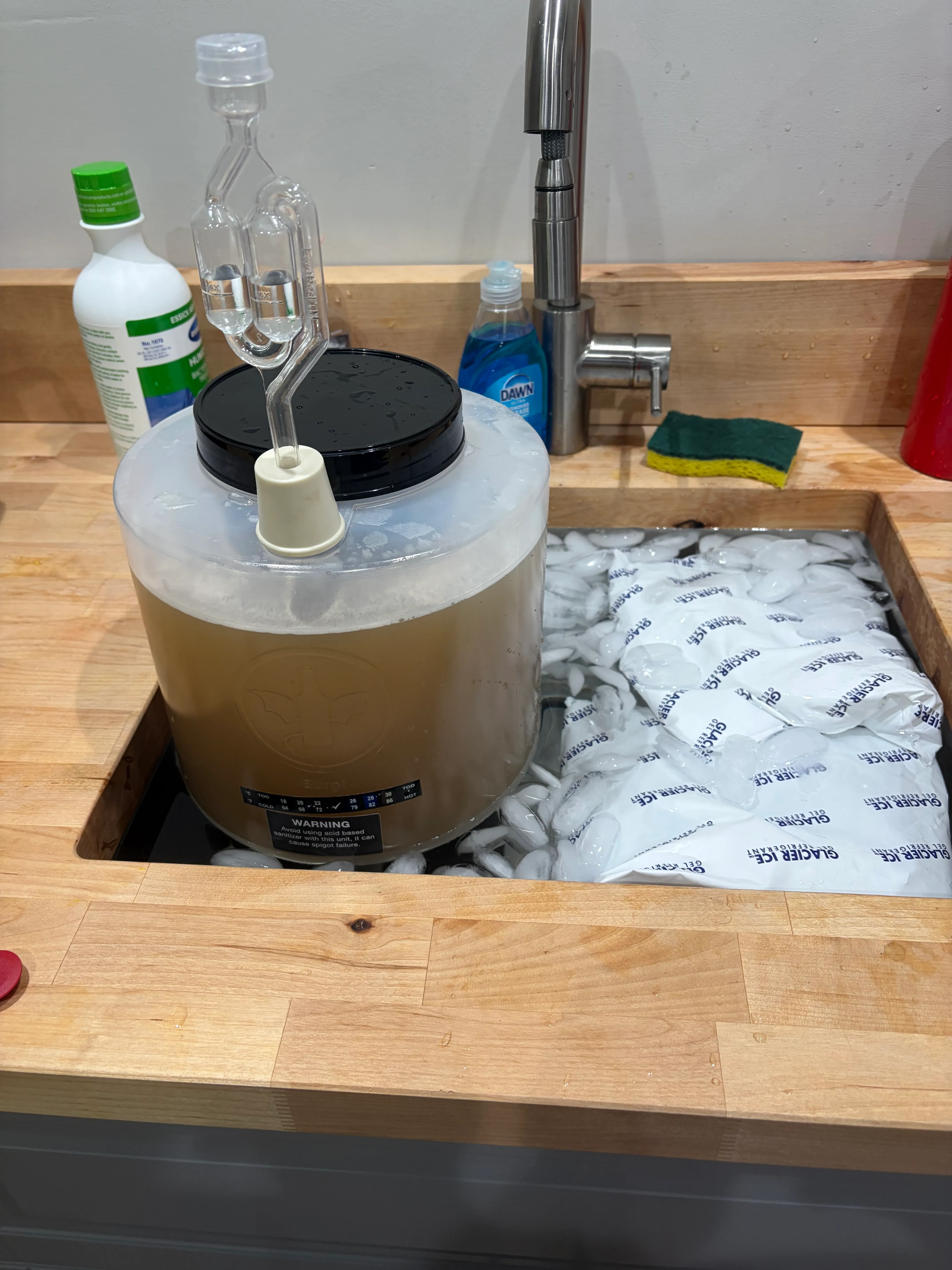 A three-gallon conical fermenter of tupelo must under an airlock, sitting in a sink water bath with ice bags floating beside it.