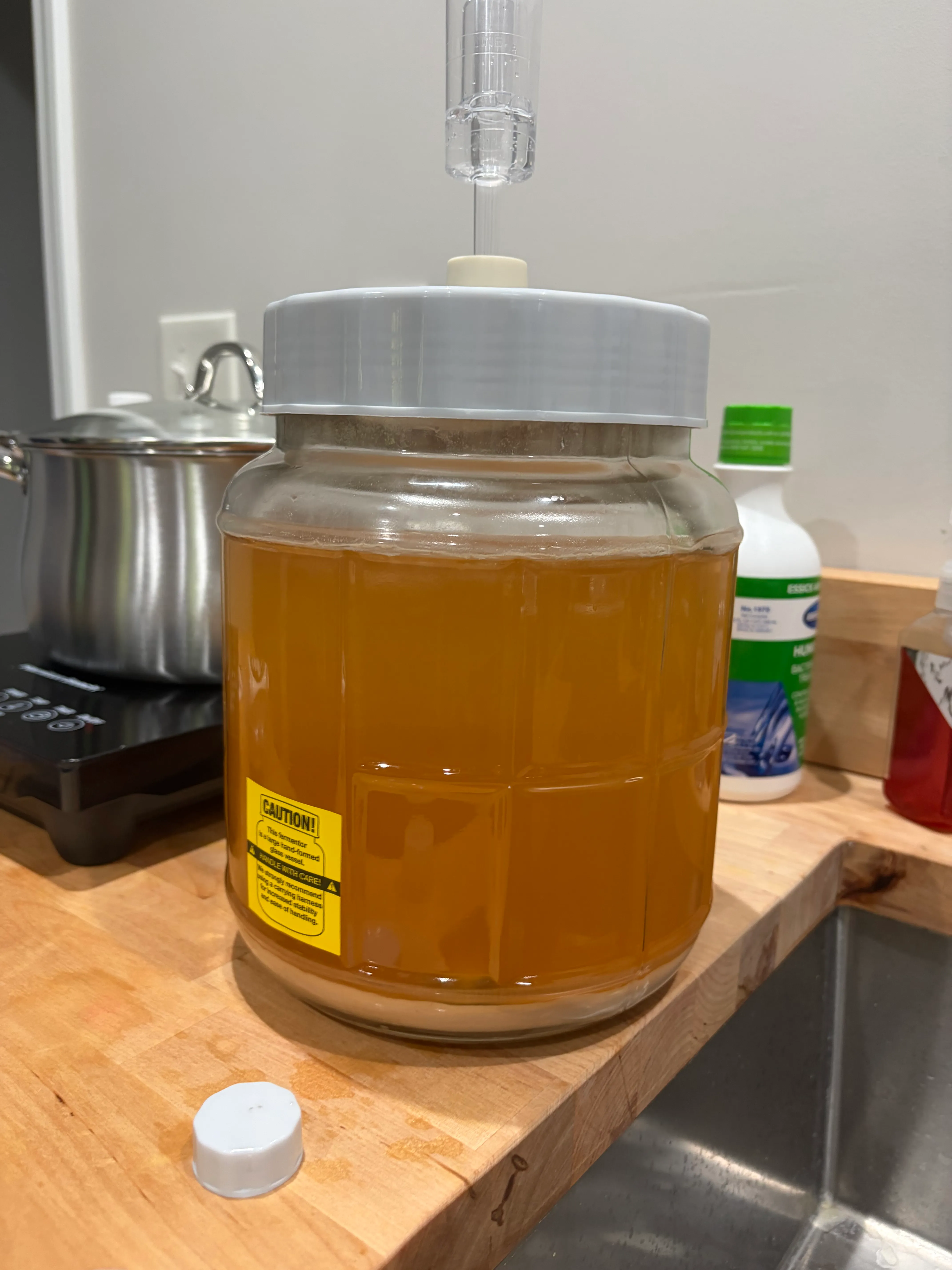 A few days before racking — the must clearing to translucent golden amber