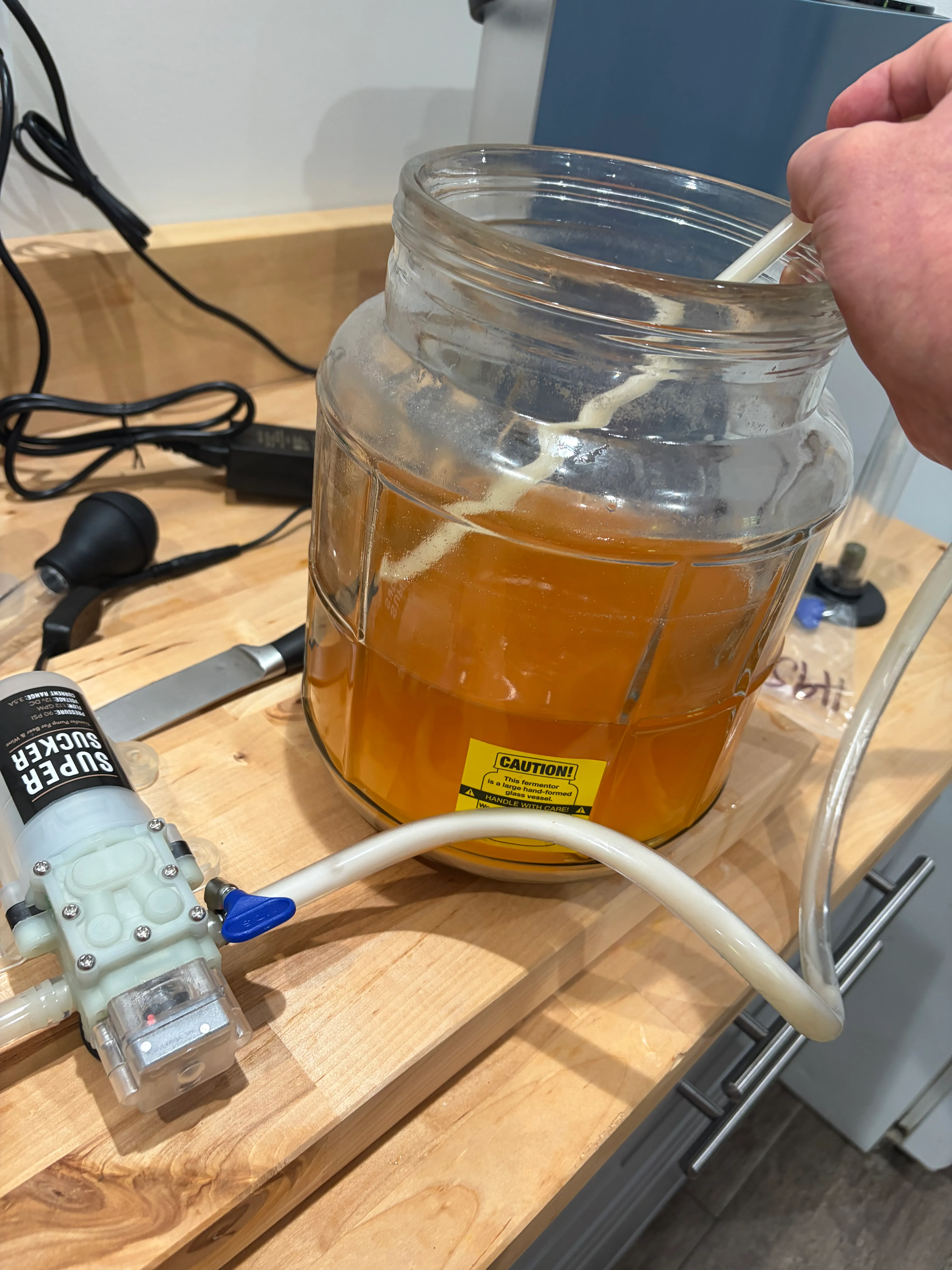 The transfer running — out of the fermenter, through the pump, into the jug