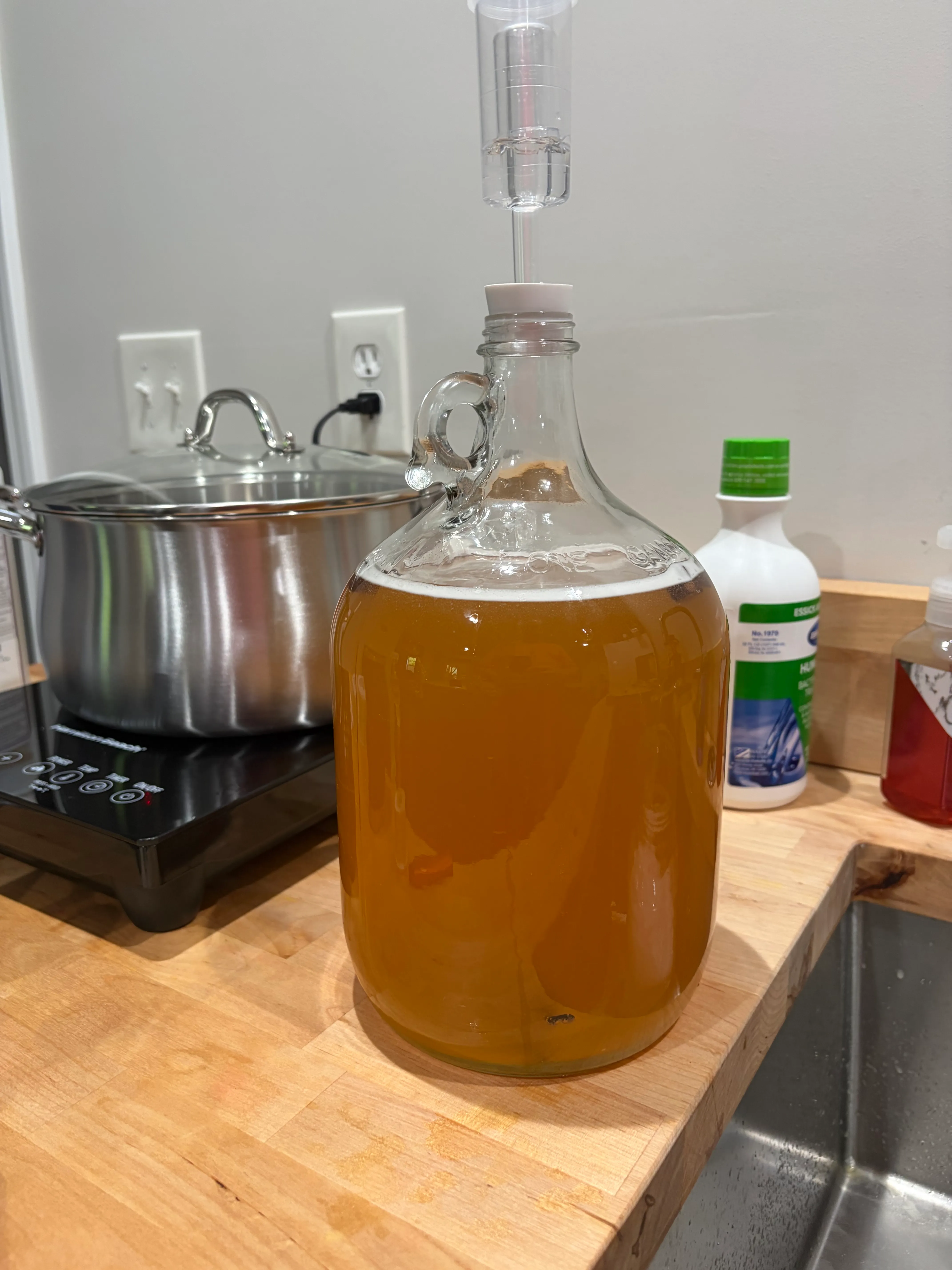 A one-gallon glass jug of clear golden mead, sealed with a bung and airlock, sitting on a butcher-block counter.