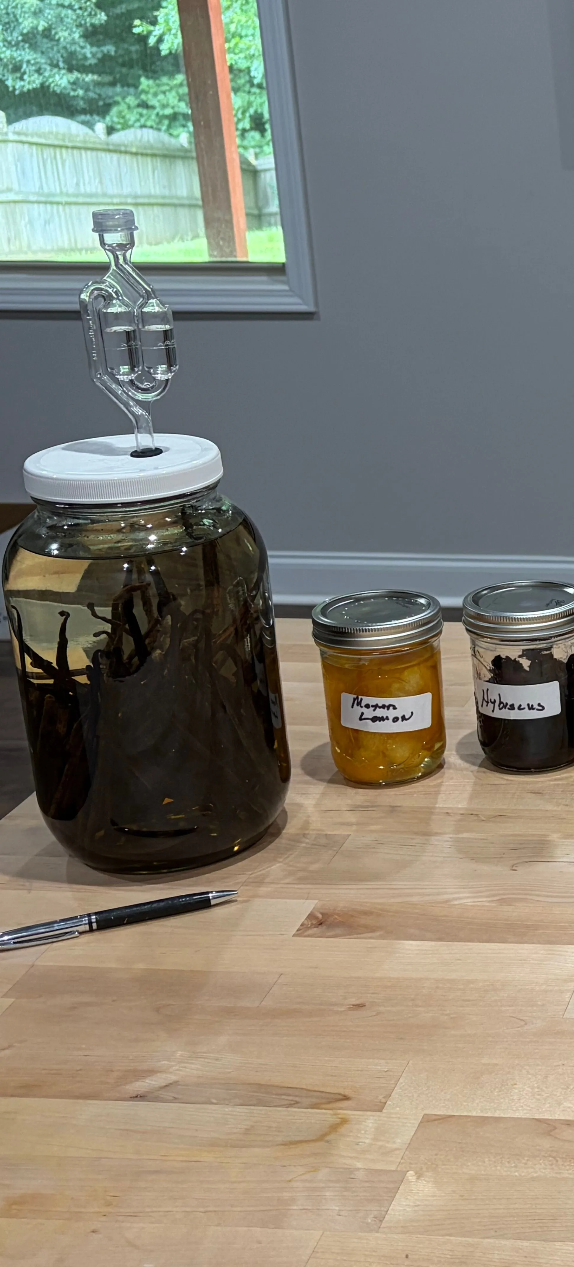 A one-gallon glass jar of dark rum with dozens of split vanilla beans steeping inside, sealed with an airlock lid.